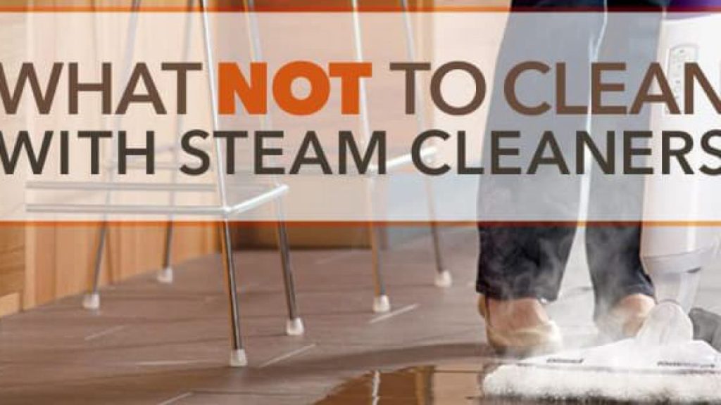 do-steam-cleaners-kill-mold-best-safe-household-cleaners