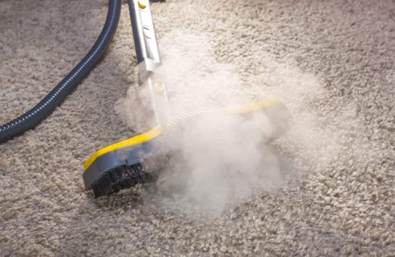 How to Use Shark Steam Mop on Carpet?