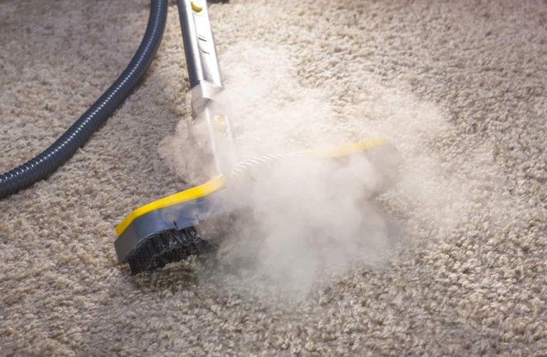 Can Steam Mop Clean Carpet?