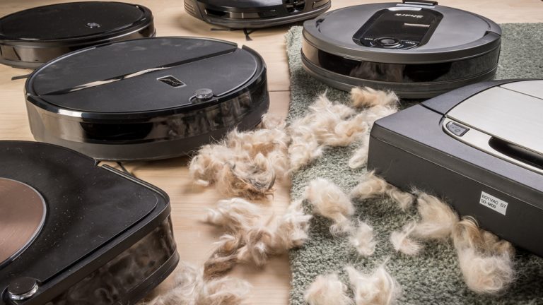 Do Robot Vacuums Pick Up Dog Hair?