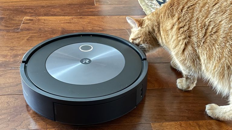 How Much for a Robot Vacuum?