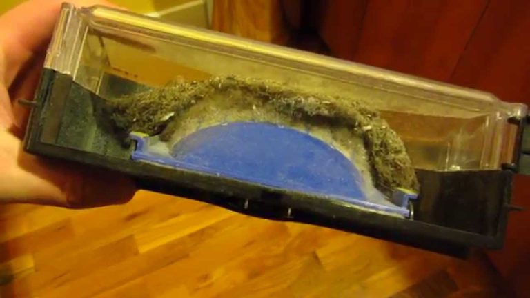 How Much Dirt Can a Robot Vacuum Hold?