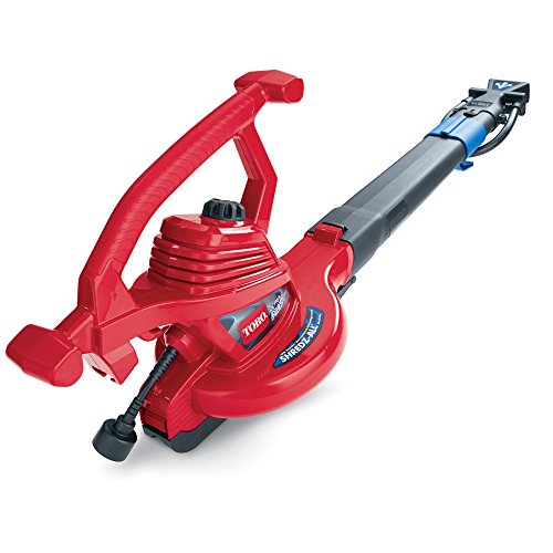 Best Buy Leaf Blower Vacuum | Eco-Friendly and Efficient