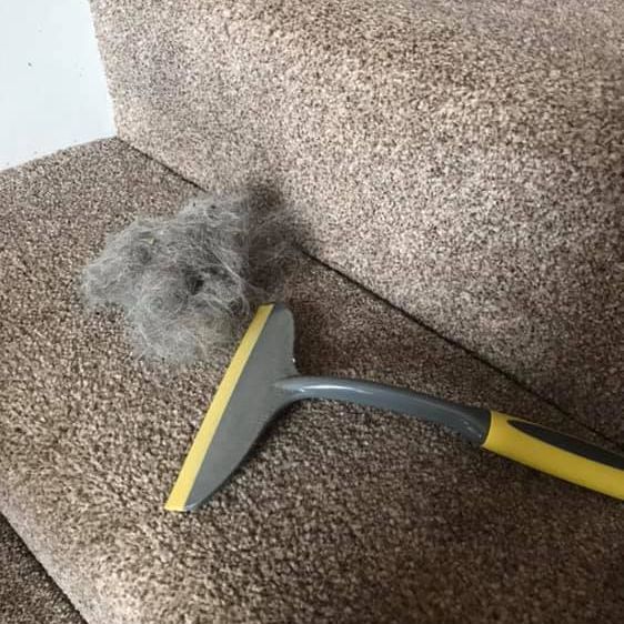 How to Clean Carpet With Squeegee?