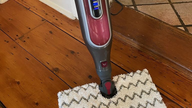 Does Steam Mop Sanitize?