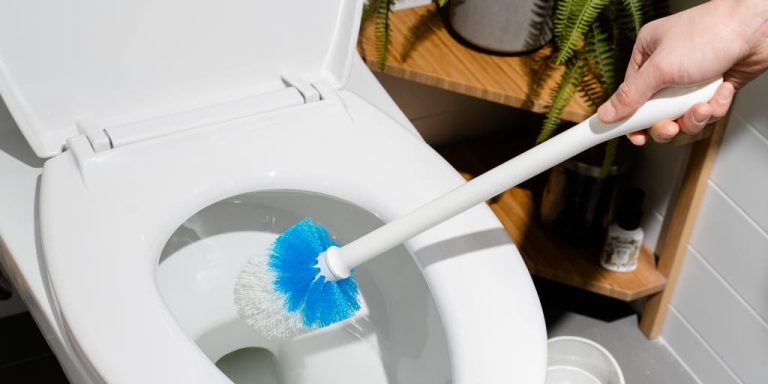 How to Clean Toilet Bowl Brush?