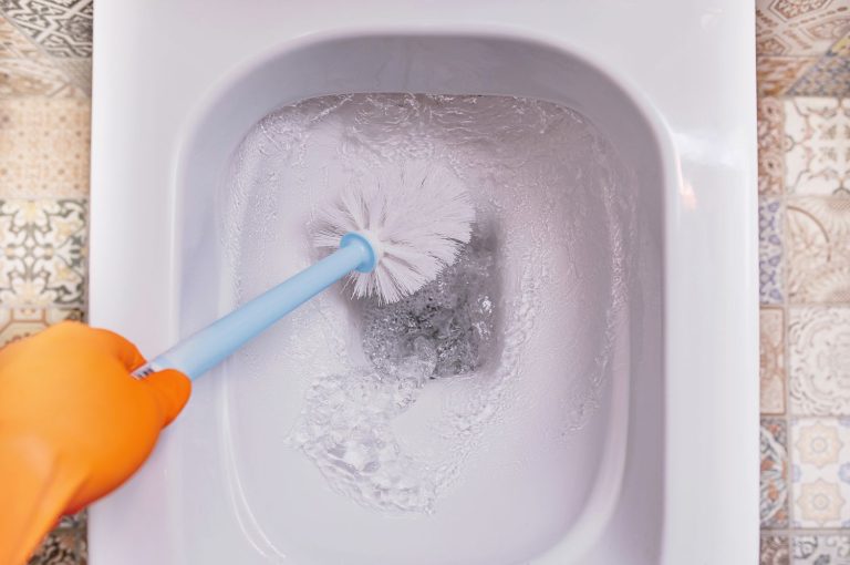 How to Clean a Toilet Brush?