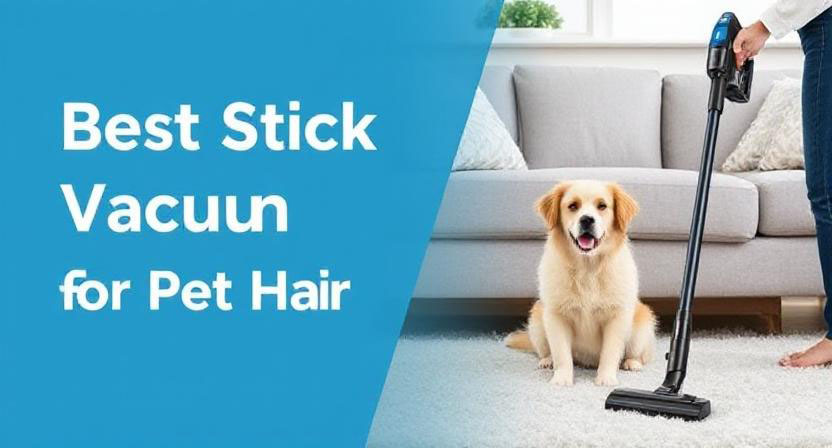 Best Lightweight Stick Vacuum For Pet Hair